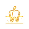 Dental Fillings